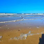 Apartman L'ecume De - 50 M De La Bernières-sur-Mer